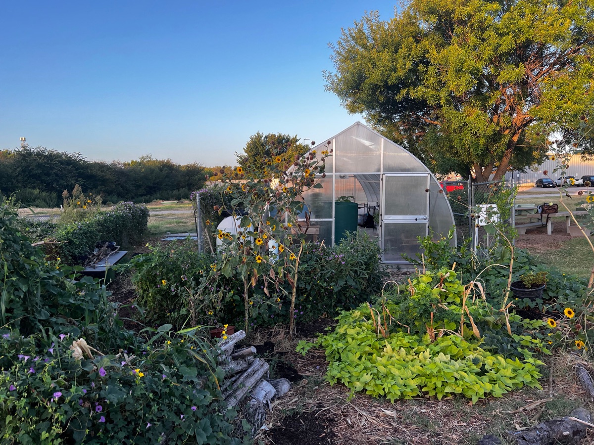 Plants growing in the gardens at TCC Southeast